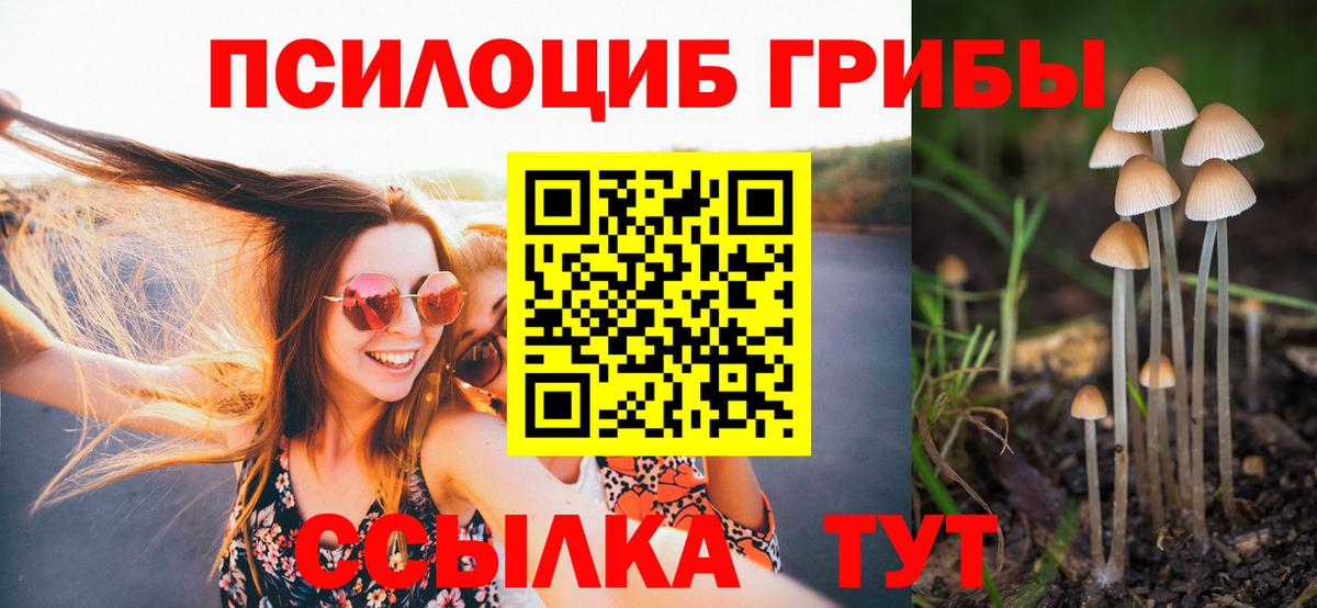 Галлюциногенные грибы GOLDEN TEACHER  Вход с VPN  Галлюциногенные грибы Psilocybine cubensis  Первоуральск 